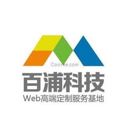 Web技术咨询 如何在数字化转型中选对技术路径